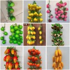 chùm dây quả giả